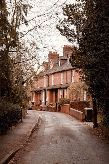 A narrow residential street with a slight curve, lined with tall, mature trees on both sides, some with bare branches indicating a late autumn or winter setting. On the right side, there is a brick wall with a black wheelie bin placed near the pavement, adjacent to a row of traditional terraced houses featuring red brick facades, chimneys, and multiple stories. The pavement is visible on the left, with a wooden fence and shrubbery behind it. The street appears quiet and lightly lit by natural daylight, suitable for activities such as home relocation or furniture transport. For house clearance or moving services, Man With a Van Redbridge may assist in safely loading household items onto their vehicle, preparing furniture, or organizing logistics for a smooth move within this residential area.